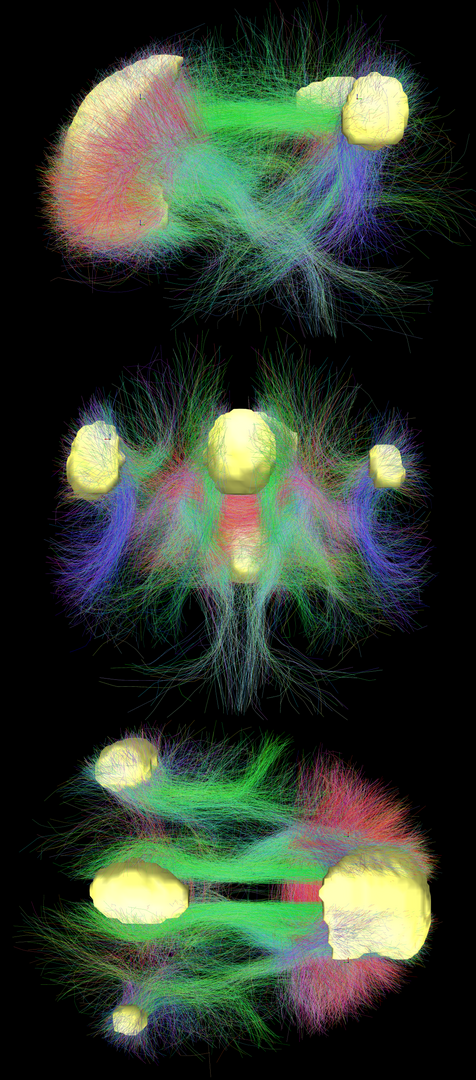 Oscillations (iii)