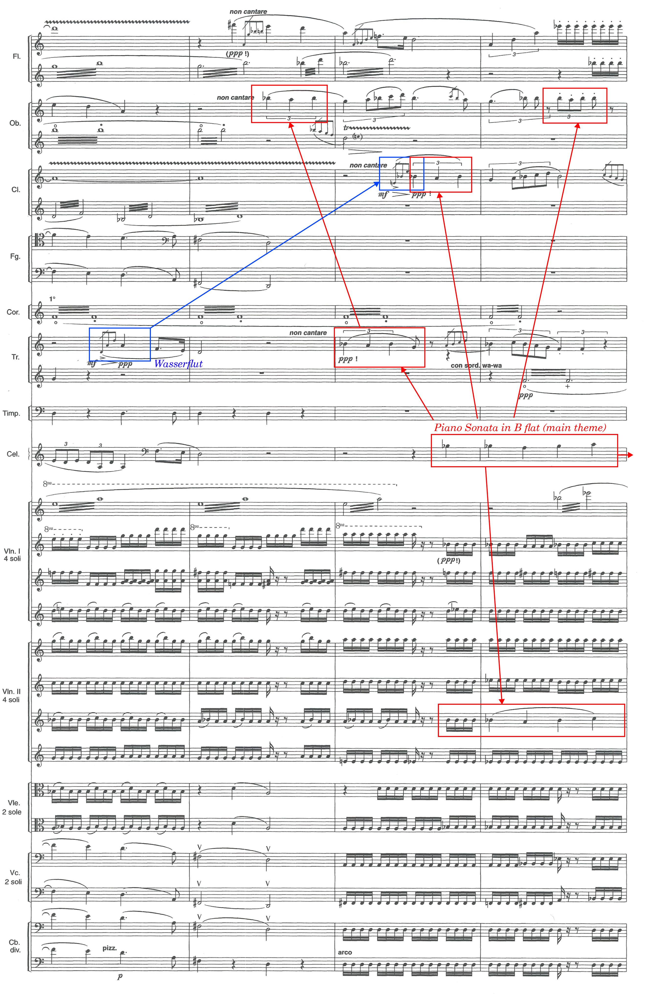 Oscillations